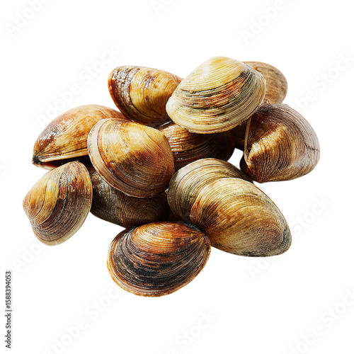 Pile of raw clams on transparent background