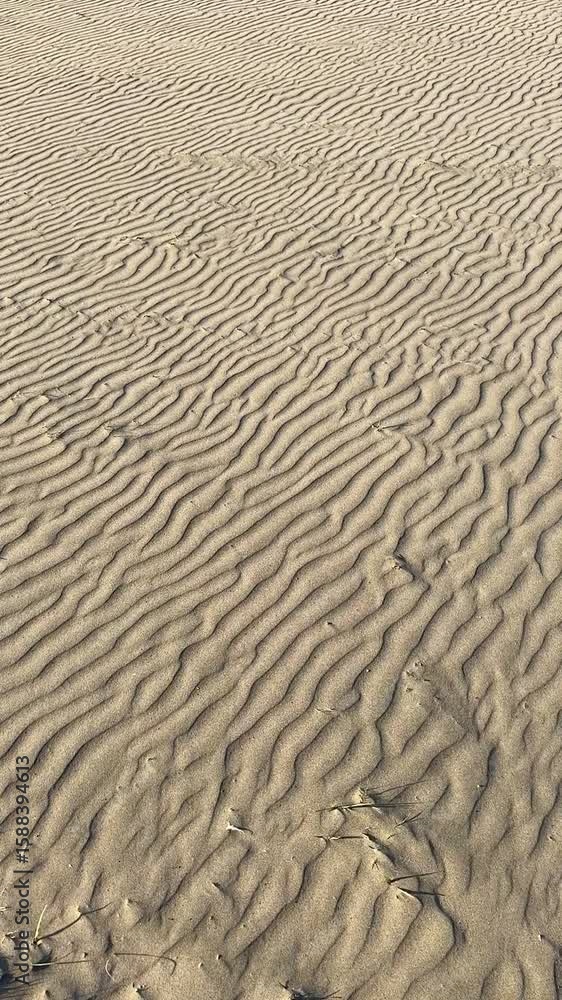 ripples in the sand ripples in the sand