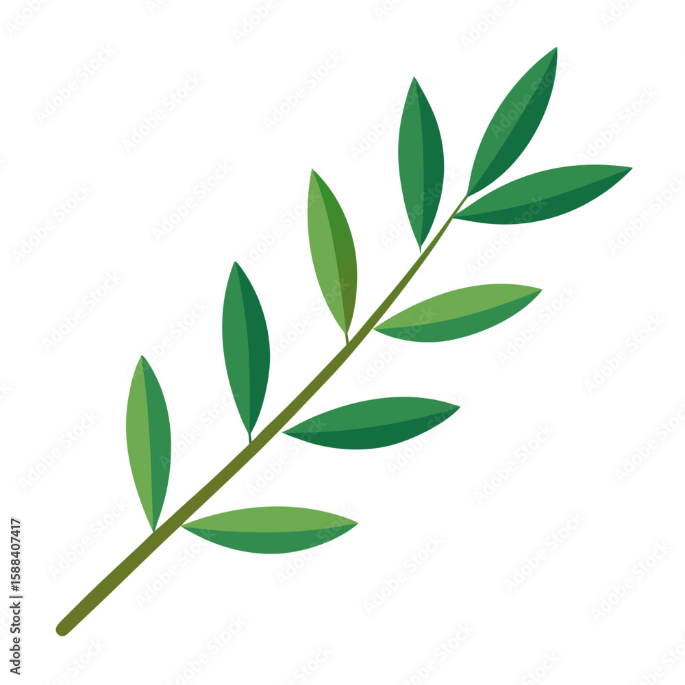 Naklejka premium Vibrant Olive Branch: A close-up image of an olive branch with a few leaves, highlighting its freshness and beauty.