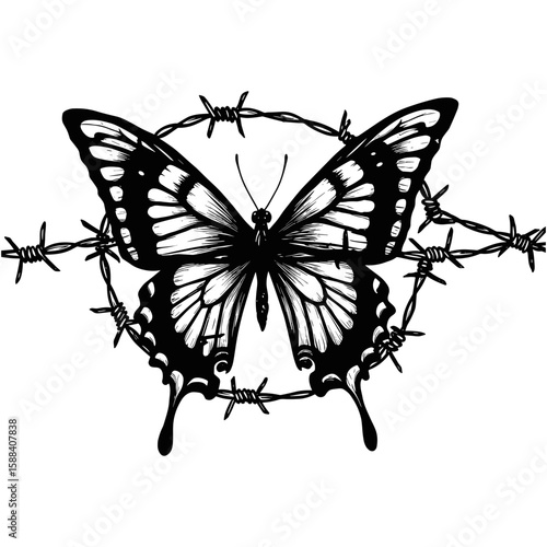 Black and white butterfly encircled by barbed wire on a transparent background