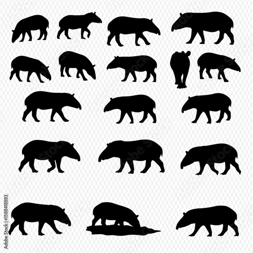 Collection of tapir silhouettes in various poses, including standing, walking, and grazing, presented against a transparent background.