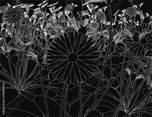 Wallpaper Mural A black and white contour drawing of a field of daisies, with delicate petals standing out against a dark background. The minimalist style highlights the flowers' elegant simplicity. Torontodigital.ca