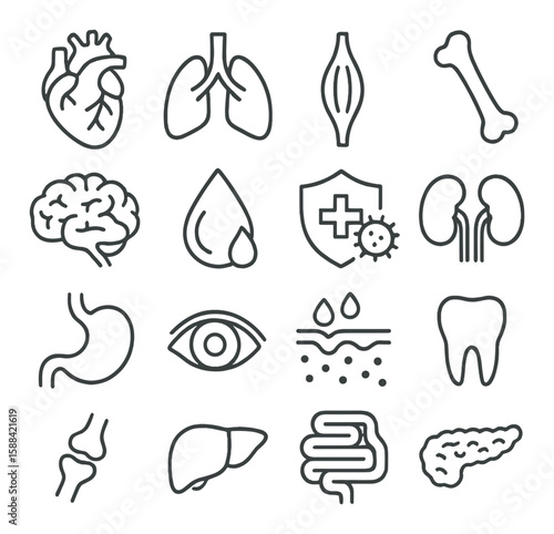 Human body icon collection. simple compose of heart, lung, muscle, bone, brain, blood, health, stomach, eye, skin, tooth, joint, liver, intestine, pancreas vector icons.