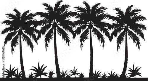 Tropical beach nature with a striking palm tree silhouette against the summer sky