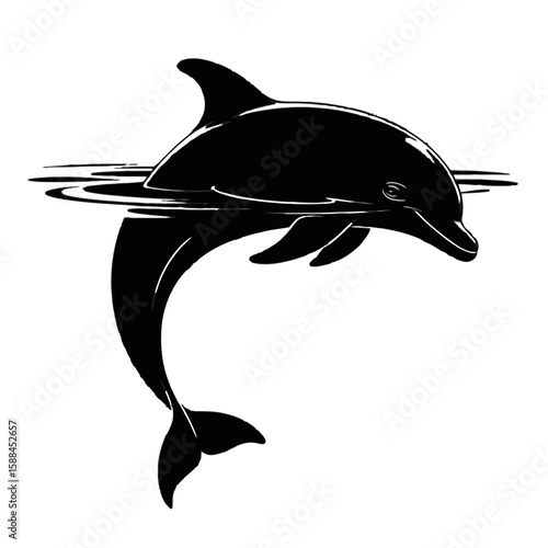Dolphin breaching ocean waves water