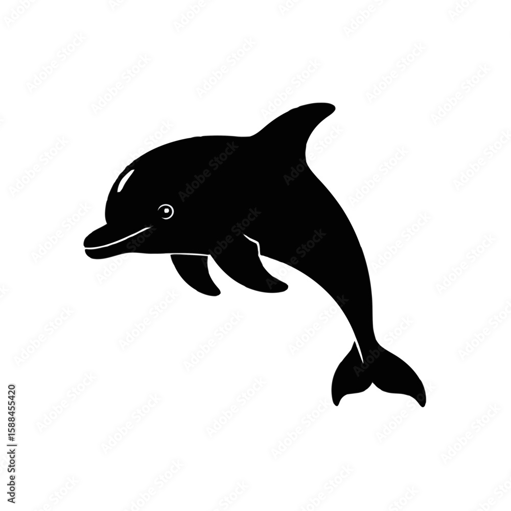 Fototapeta premium Leaping Dolphin marine mammal ocean