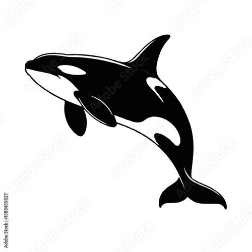Leaping Orca Whale Silhouette killer whale marine mammal