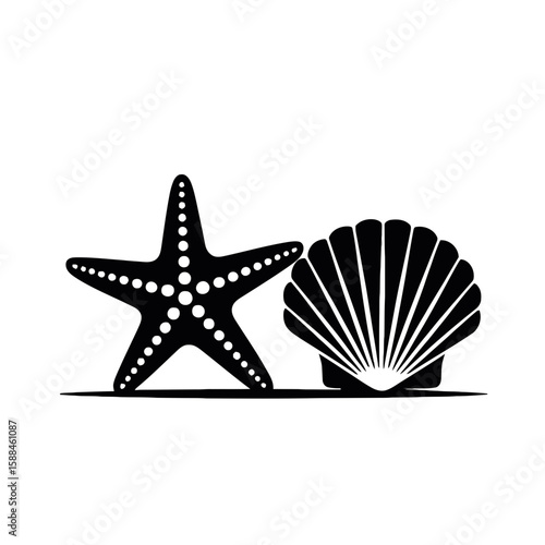 Starfish and Scallop Shell marine ocean