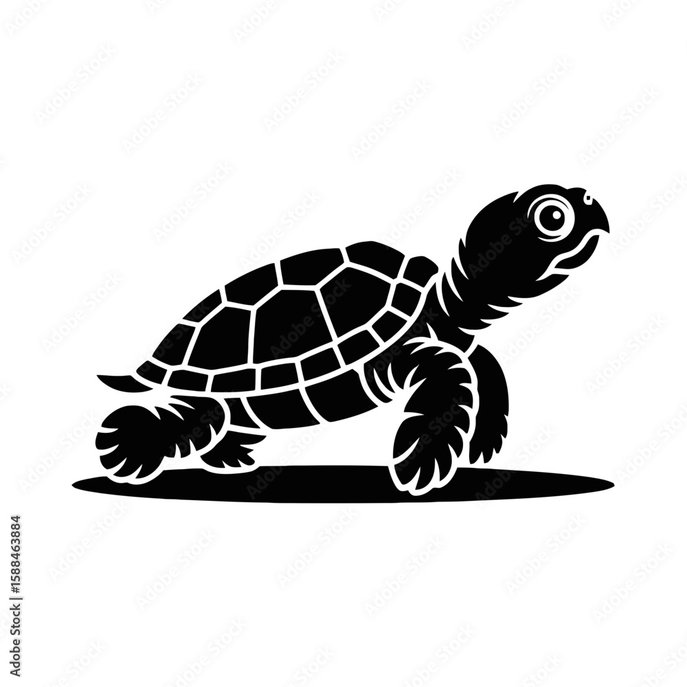 Fototapeta premium Young Turtle Walking baby turtle reptile