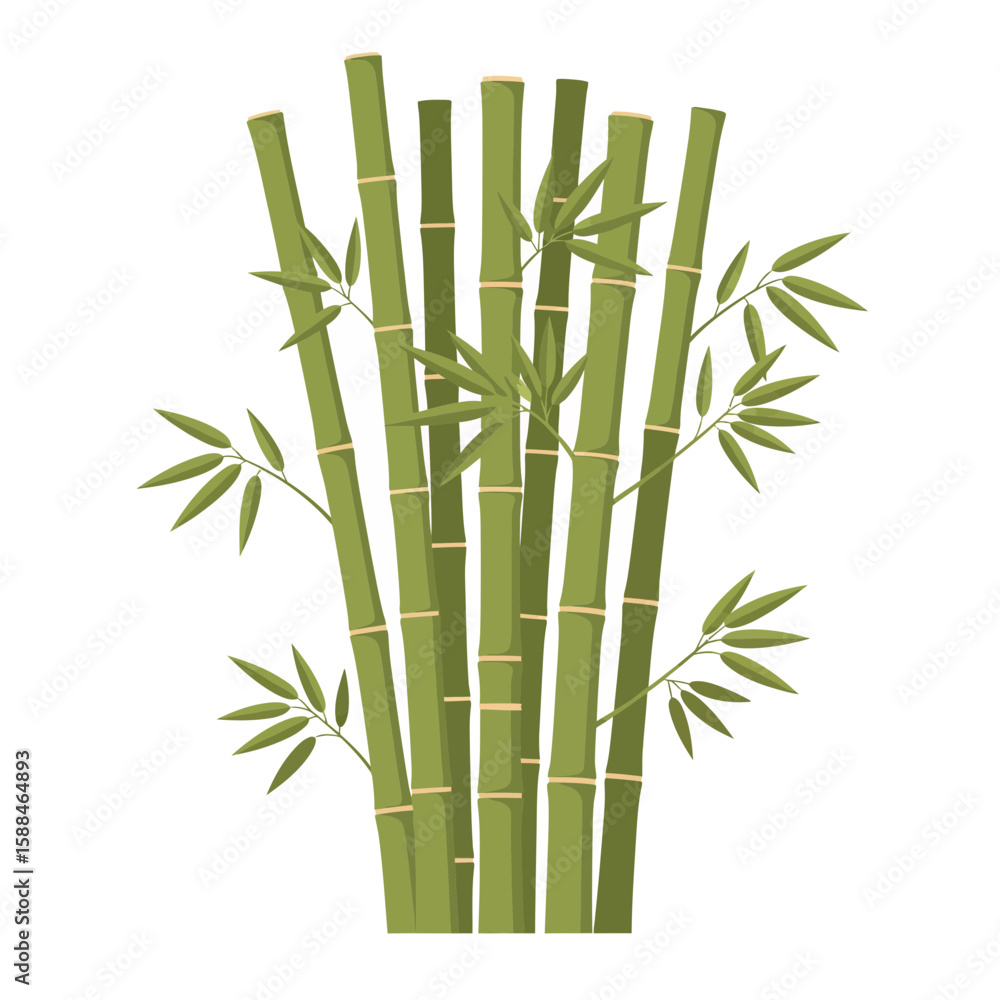 Obraz premium Illustration of bamboo stalks with leaves against a white backdrop, concept for architecture design, landscape design and tree element for environment and garden