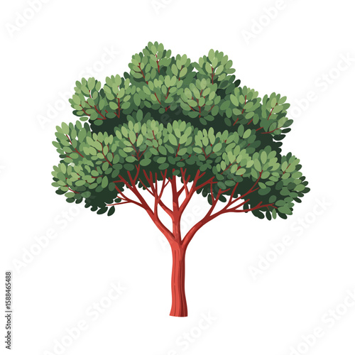 Illustration of a broadleaf evergreen tree with a reddish-brown trunk and dense green foliage, concept for architecture design, landscape design and element for garden design.