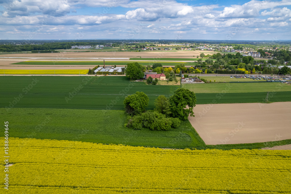 Fototapeta premium Southern Poland – Rapeseed Blocks, Village Texture, and Town Horizon