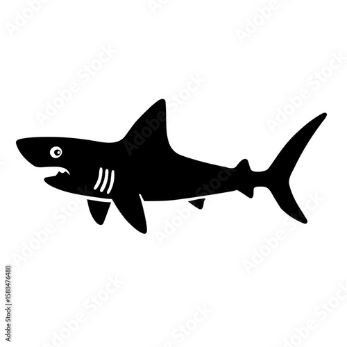 shark isolated on white
