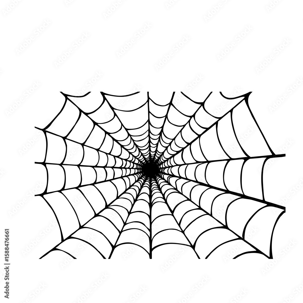 Fototapeta premium illustration of a spider web