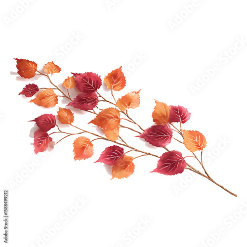 Autumnal watercolor birch branch with red orange leaves on transparent background png vector