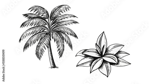 Vintage Palm Tree and Tropical Flower Sketch – Hand-Drawn Botanical Island Art