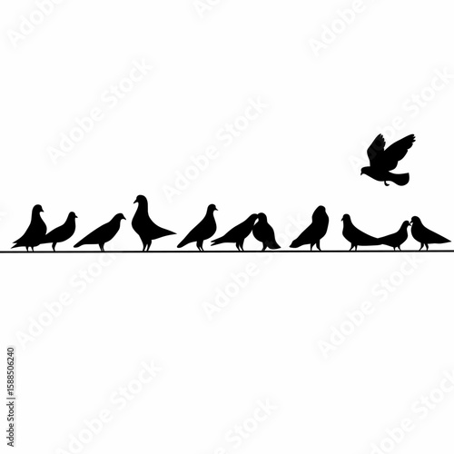 Vector silhouette of a group of pigeons perched on a power pole wire on a white background. A group of black pigeons perched. Vector illustration
