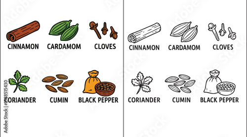 Hand-Drawn Indian Masala Doodles Set – Spices with Names in Sketch Style Vector