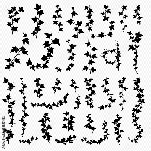 Collection of silhouette ivy vines and leaves in various shapes and orientations, isolated on a transparent background.