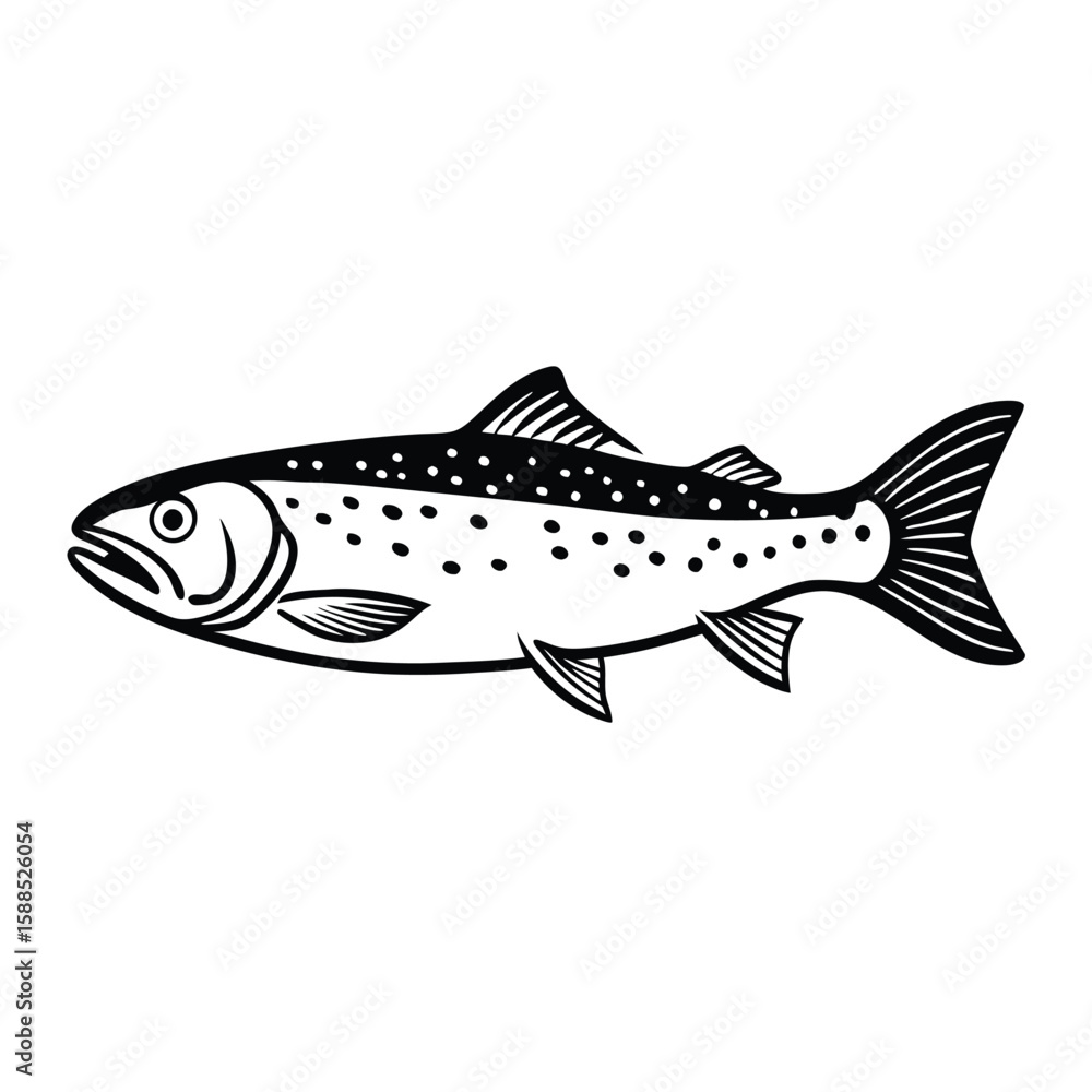 Fototapeta premium a Trout fish line art vector illustration. isolated white background