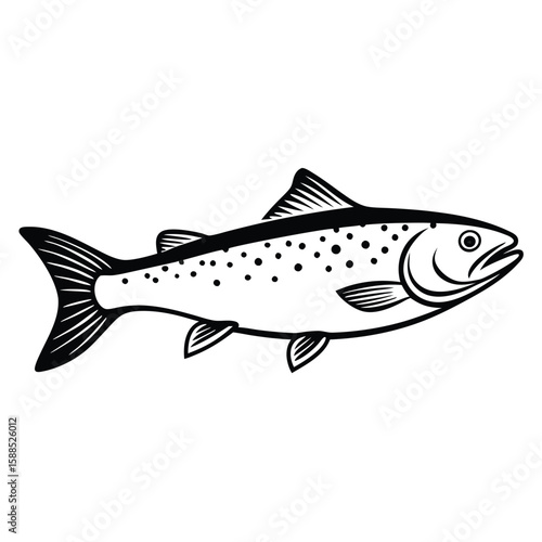 a Trout fish line art vector illustration. isolated white background