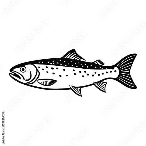 a Trout fish line art vector illustration. isolated white background