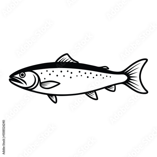 a Trout fish line art vector illustration. isolated white background