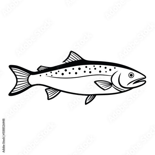 a Trout fish line art vector illustration. isolated white background