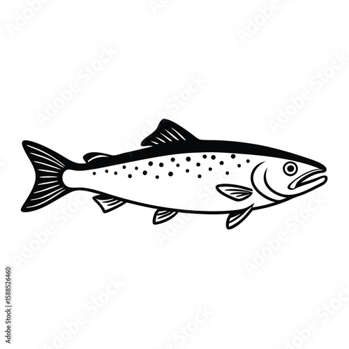 a Trout fish line art vector illustration. isolated white background