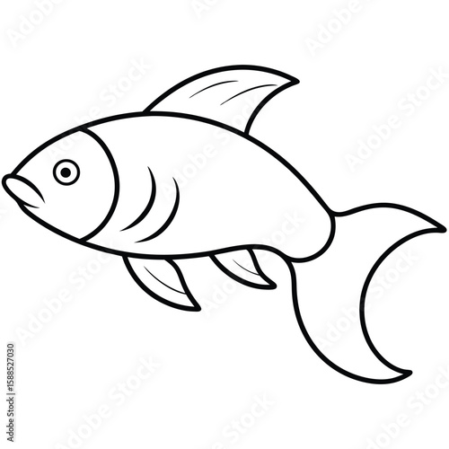 Carp fish line art illustration, isolated white background 