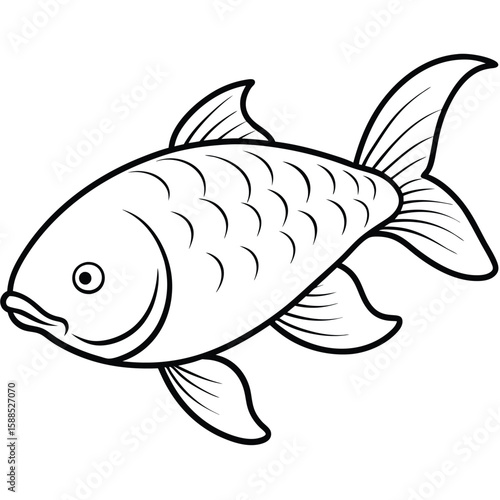 Carp fish line art illustration, isolated white background 