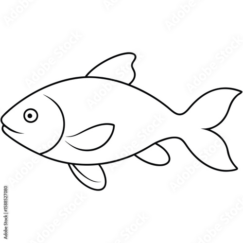 Carp fish line art illustration, isolated white background 