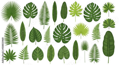 A collection of various green tropical leaves, showcasing diverse shapes and textures, arranged on white.