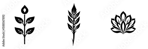 Black icons representing floral and botanical elements displaying simplicity and elegance