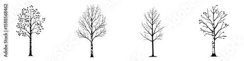 Black icons depicting trees in various stages of growth and leaf status for design and illustration purposes