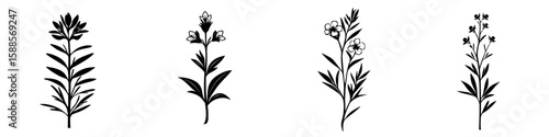 Set of black floral icons representing various plant species in a minimalist design style for creative projects