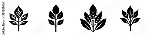 Various black leaf icons showcasing different shapes and designs for graphic use in digital projects or presentations