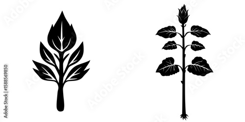 Black icon representation of foliage and a flowering plant with detailed leaf and stem designs