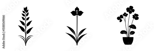 Black floral icons featuring various plant designs suitable for digital graphics and illustrations in creative projects