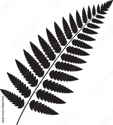 Black silhouette of a single fern frond against a white background