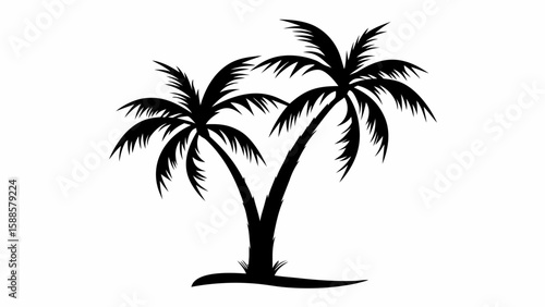 Silhouette of two palm trees with detailed fronds and a small ground area in stark black and white