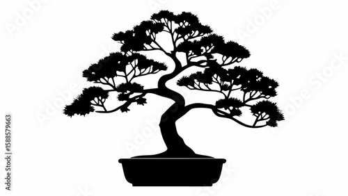 Illustration of a bonsai tree with detailed branches and leaves in a decorative pot silhouette style