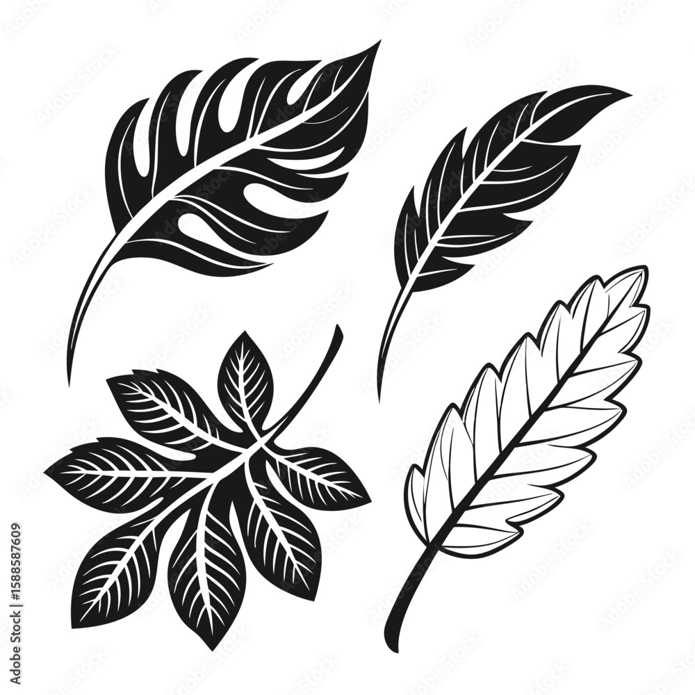 Fototapeta premium Variety tropical leaf illustrations