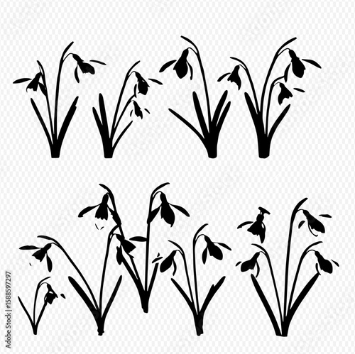A collection of stylized snowdrop flowers, depicted as black silhouettes with delicate, drooping blossoms and slender leaves, arranged in two rows on a transparent background.