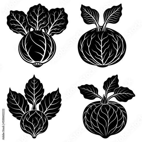 Collection of four black and white vegetable illustrations with detailed leaf and root structures shown