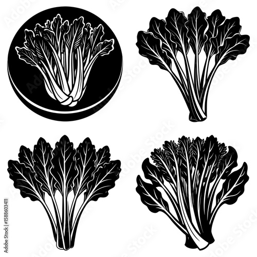 Illustrated bunches of bok choy in black and white with varying arrangements and presentation styles
