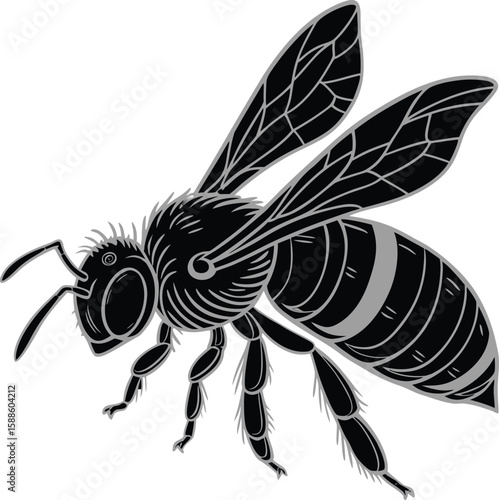 Black and white vector illustration of a bee flying isolated on white background
