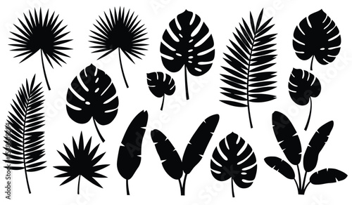 Collection of Tropical Black Silhouette Leaves