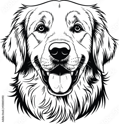 Golden Retriever Dog Head - Black and White Vector Art.