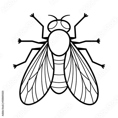 A black and white fly illustration line art of a coloring page